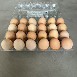 Easter Eggs 