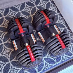 Bowflex Dumbbell  