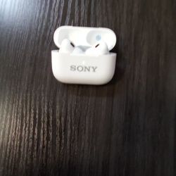 Sonny Air Buds