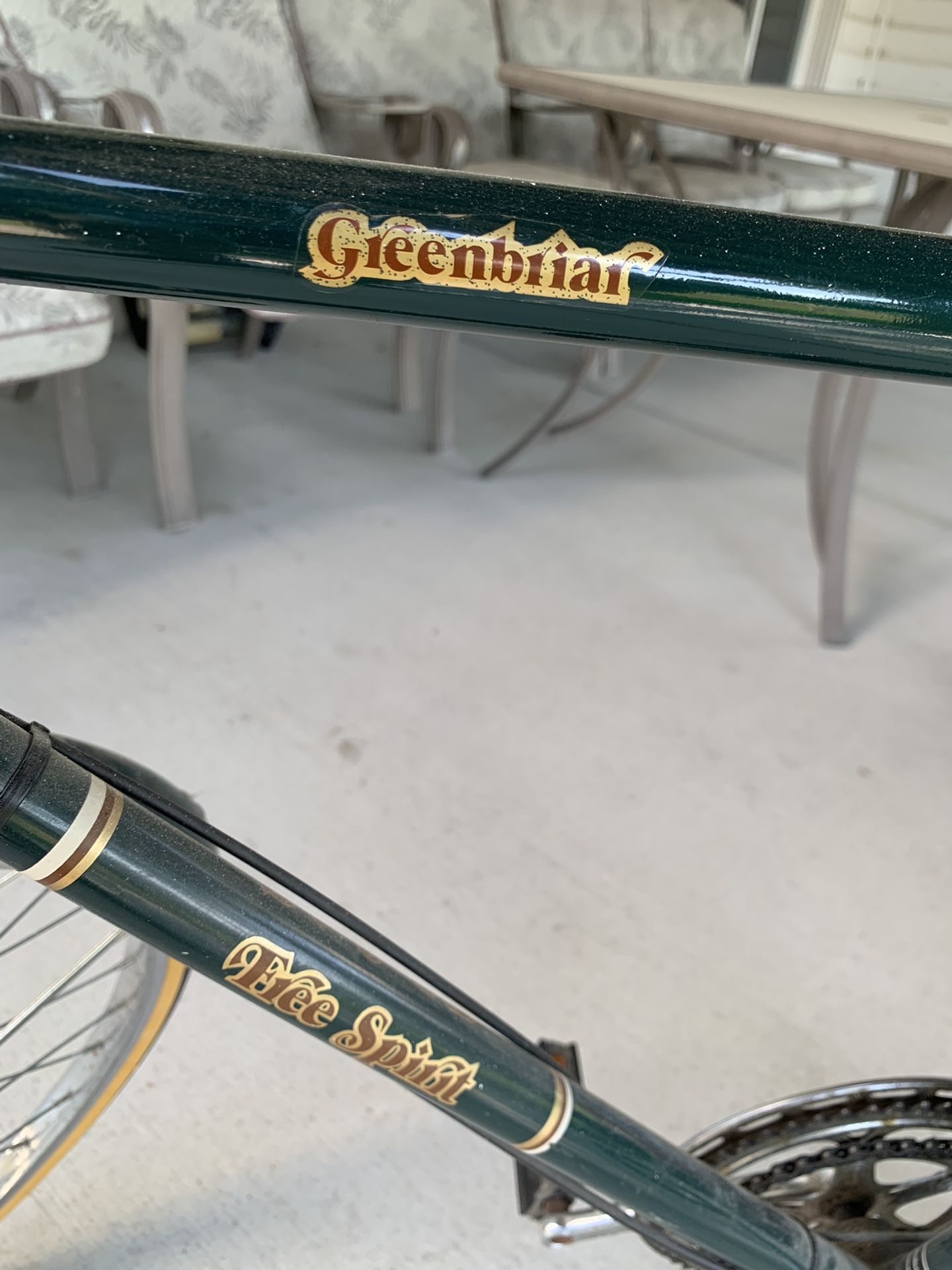 Vintage Greenbriar Free spirit Bike