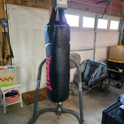 Everlasting 100lb Bag, Stand, Gloves