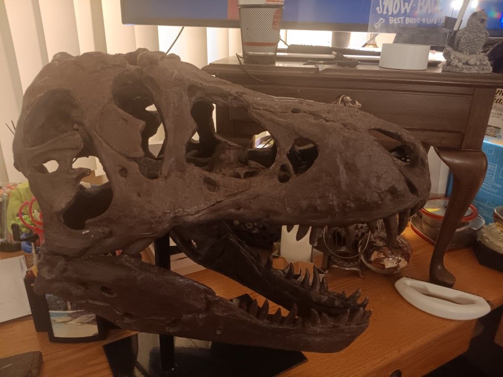 Dinosaur Skull Head