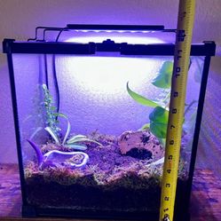  Enclosure 4 1/2 gallon 