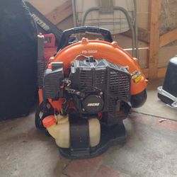 Echo Backpack Blower 