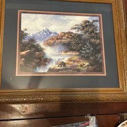 Framed Picture