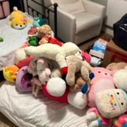 Stuffed Animals