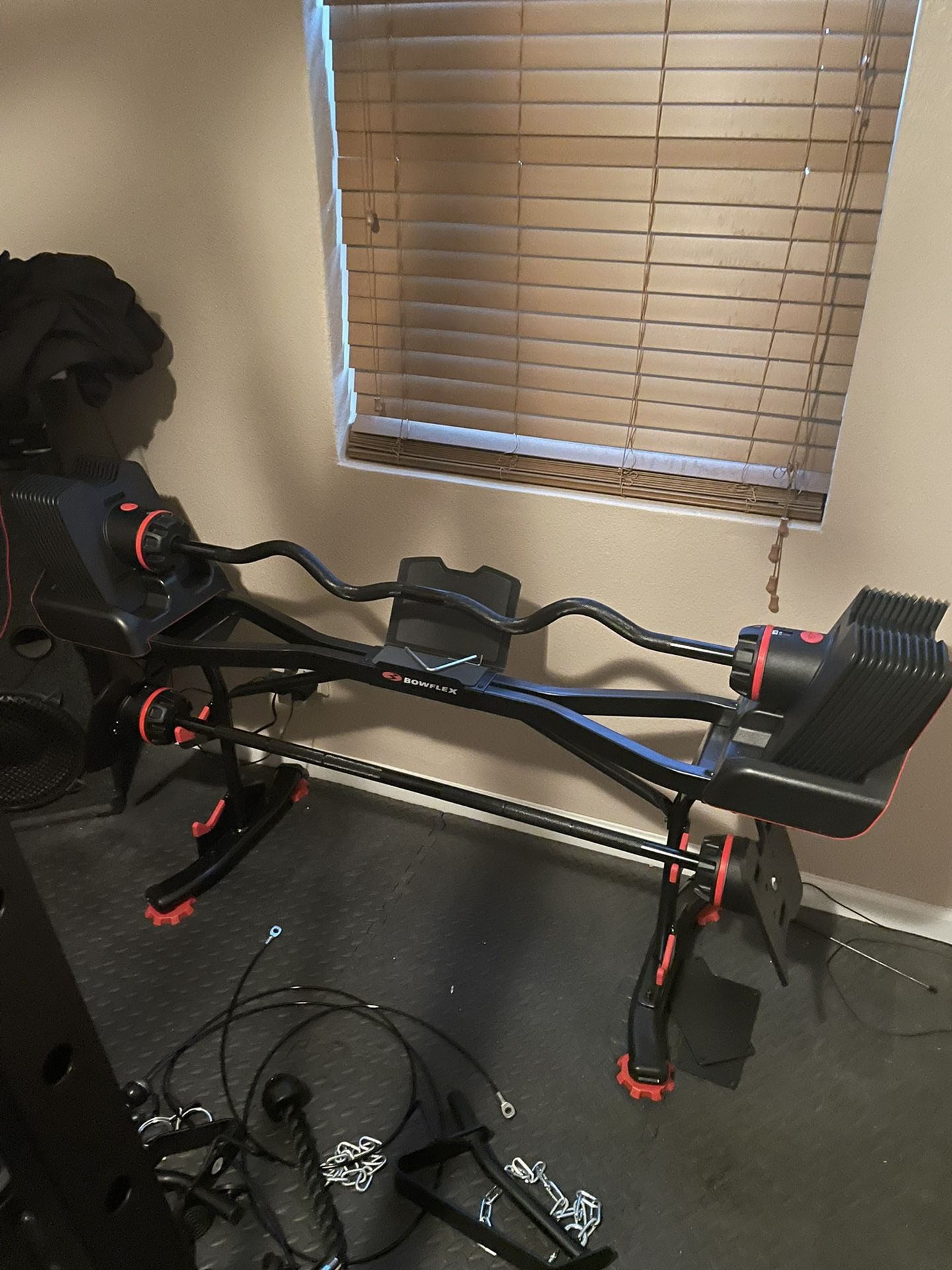 2080 Barbell /w Curl Bar