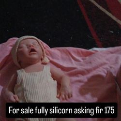 Fully  Silicone 