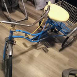  Trike