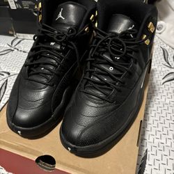 Air Jordan Retro 12 The Master