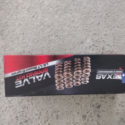 Valve Springs Corvette 