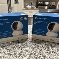 Indoor Security Cameras
