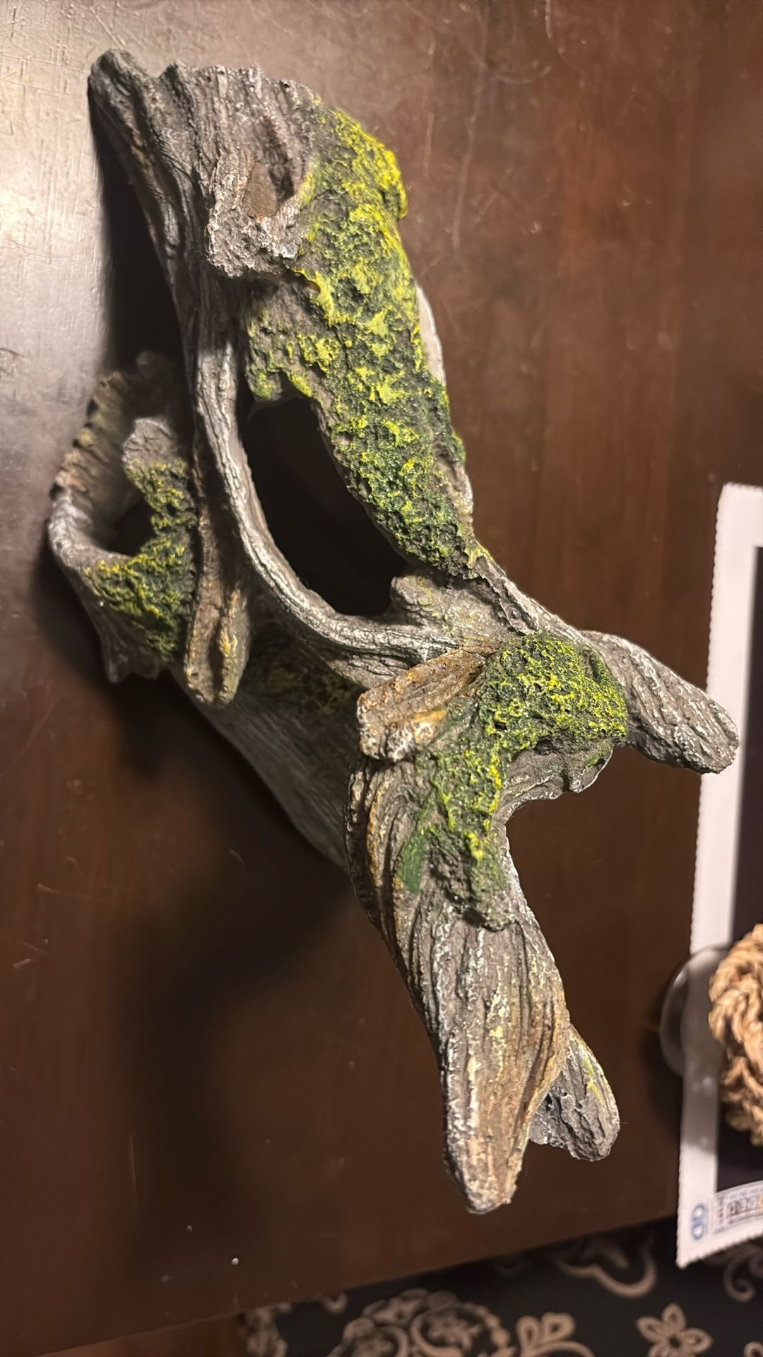 Reptile Rock Cave