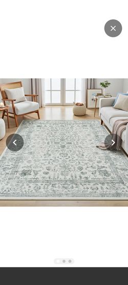 Ivory and Sage Floral Area Rug