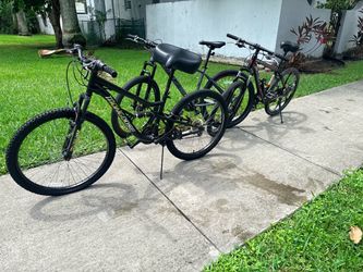 3 bikes for 350