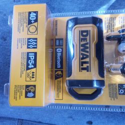 DeWalt Jobsite Pro X2 Earbuds And Charging Case.