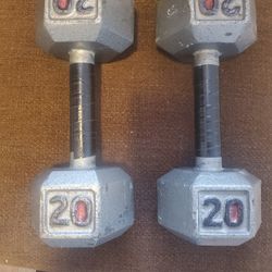 20 Lb Pair Perfect Condition
