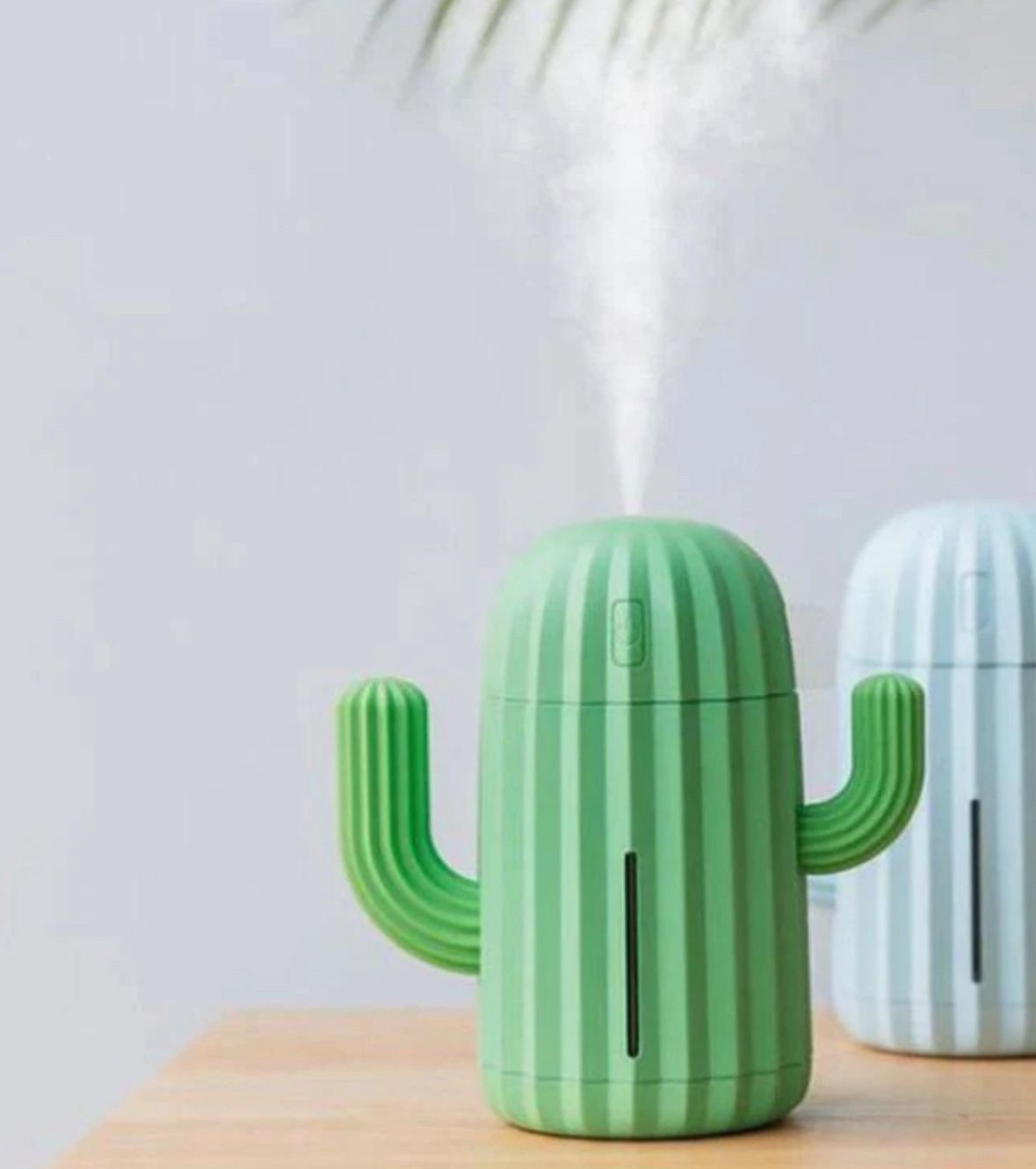 Mini Cactus 🌵 LED USB Humidifier 