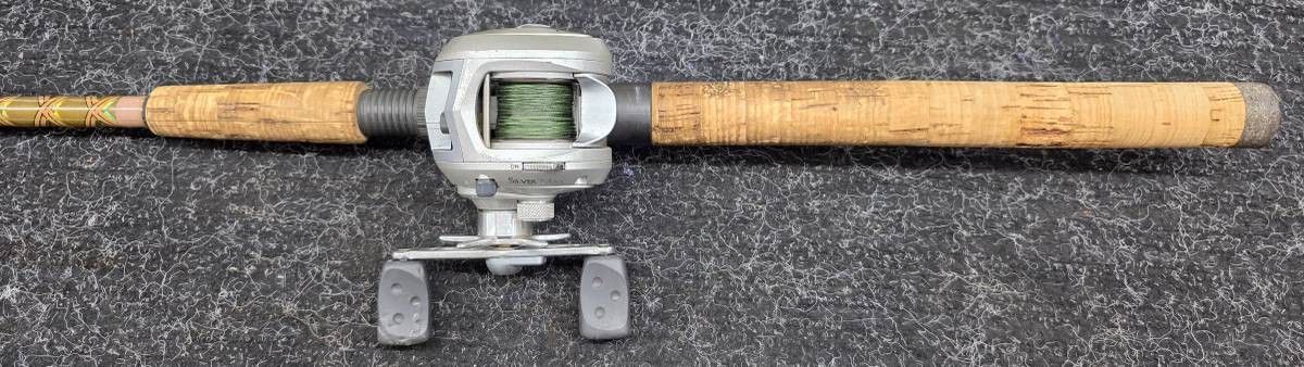 Abu Garcia Silver Max Low Profile Bait cast Fishing Reel & star rod