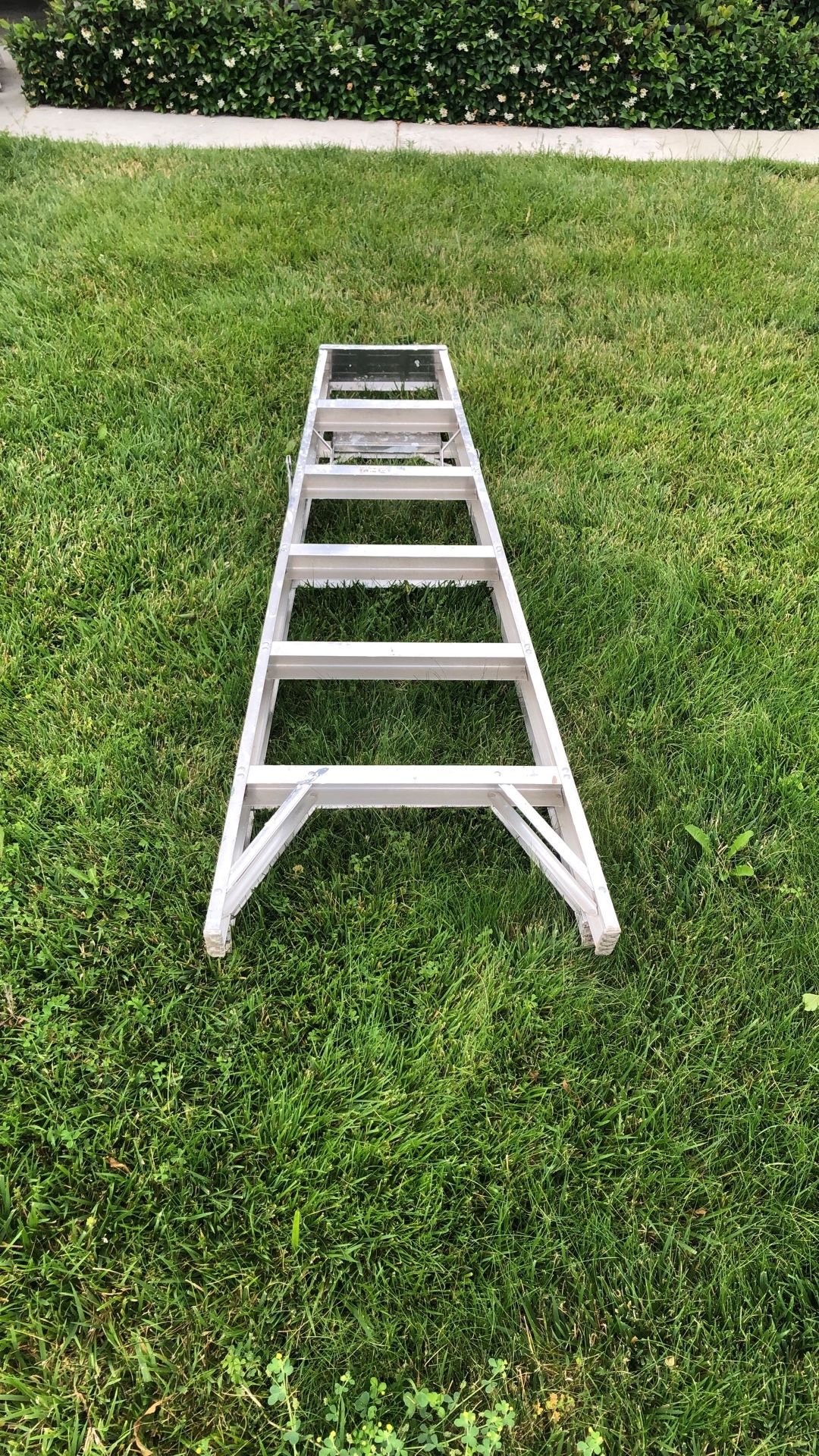 6 Foot Ladder