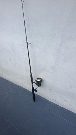 daiwa bg 5000 combo