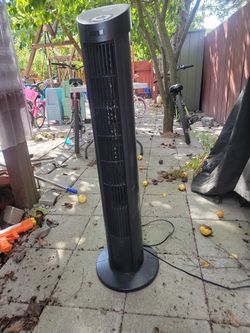 Fan