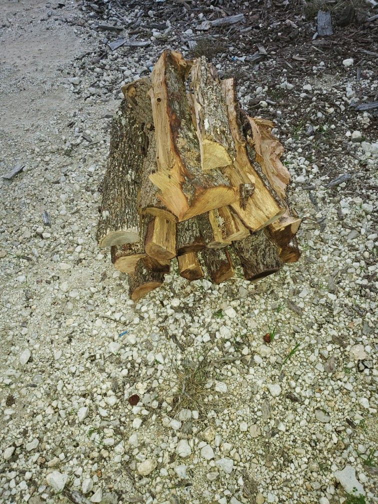 Bundle Of Firewood