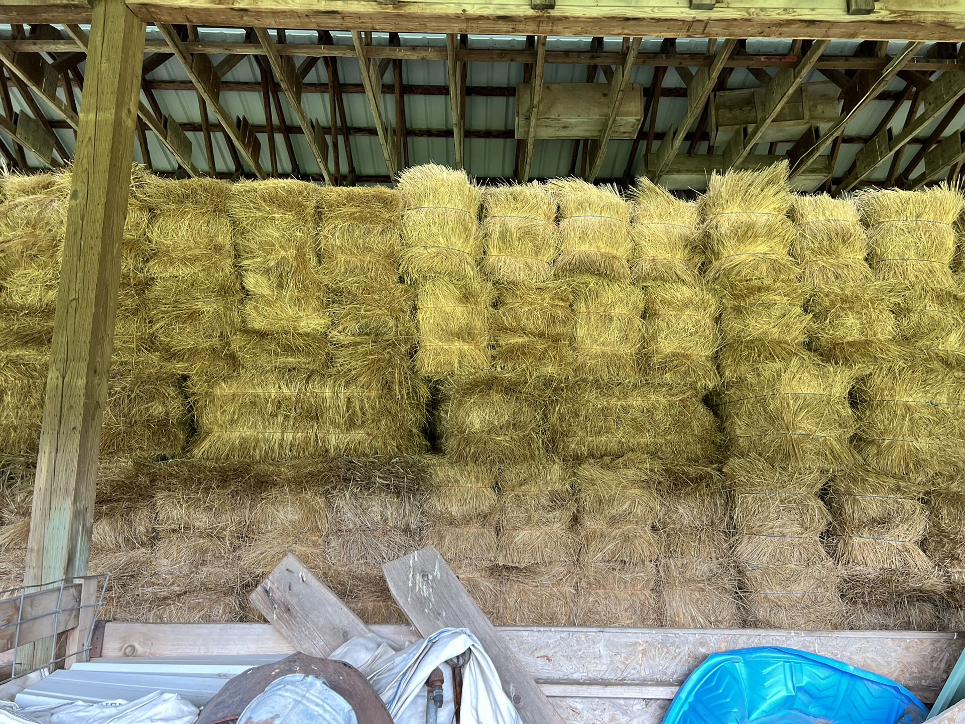 Grass Hay