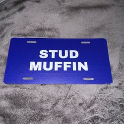 Novelty license plate