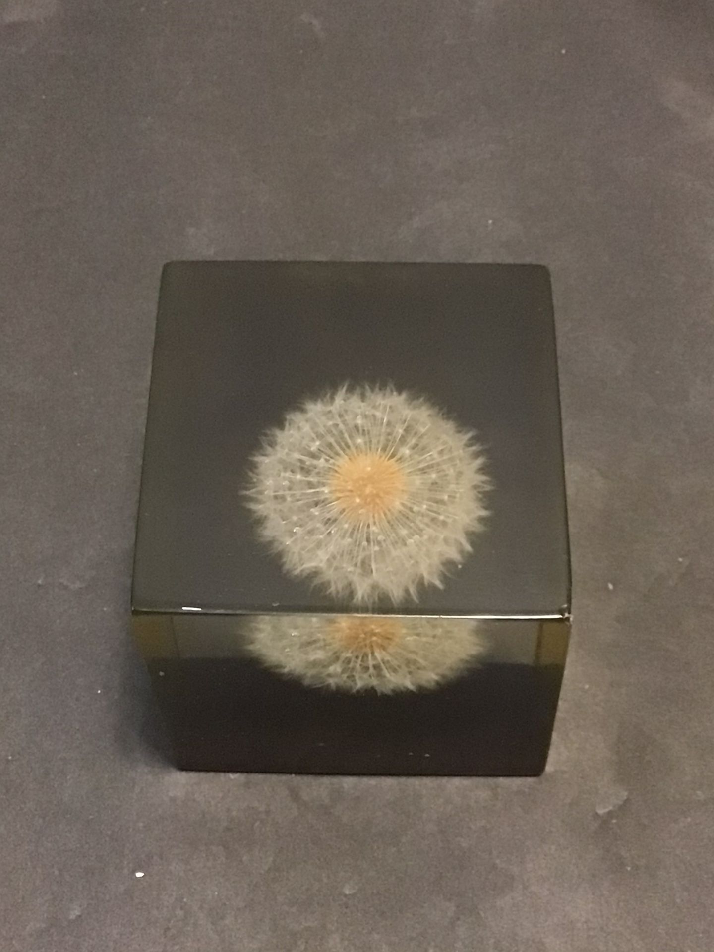 Vintage Mid Century Gump’s Natural Plant Glass Paper Weight Rare Paperweights