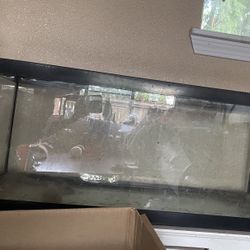 20 Gallon Long Fish Tank 