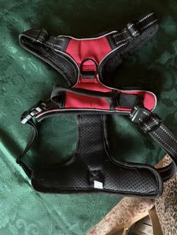 Dog Harness XL 