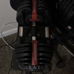 Bowflex Dumbbells Set