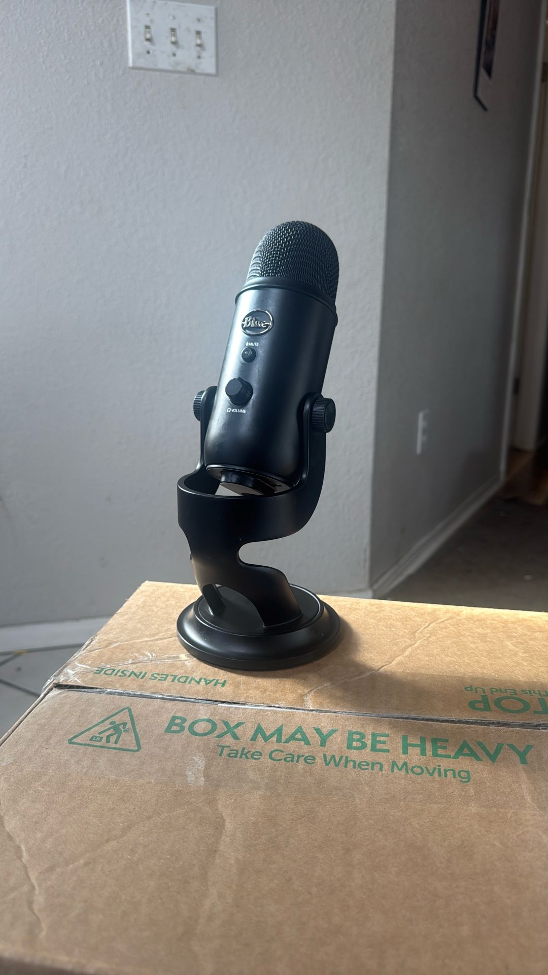Blue Yeti USB Microphone 