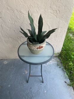 Artificial plant in outdoor planter with outside table $10
