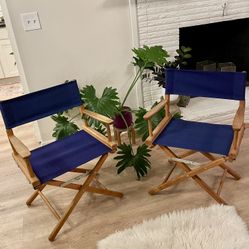 Pair of Blue Canvas Director Chairs