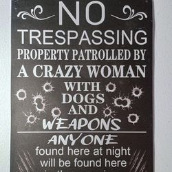 Funny No Trespassing MetalSigns Private Property No Soliciting Yard Sign Beware 