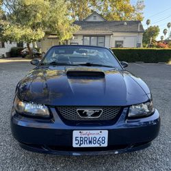2002 Ford Mustang GT Convertible 