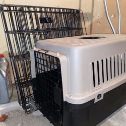 Puppy Supplies