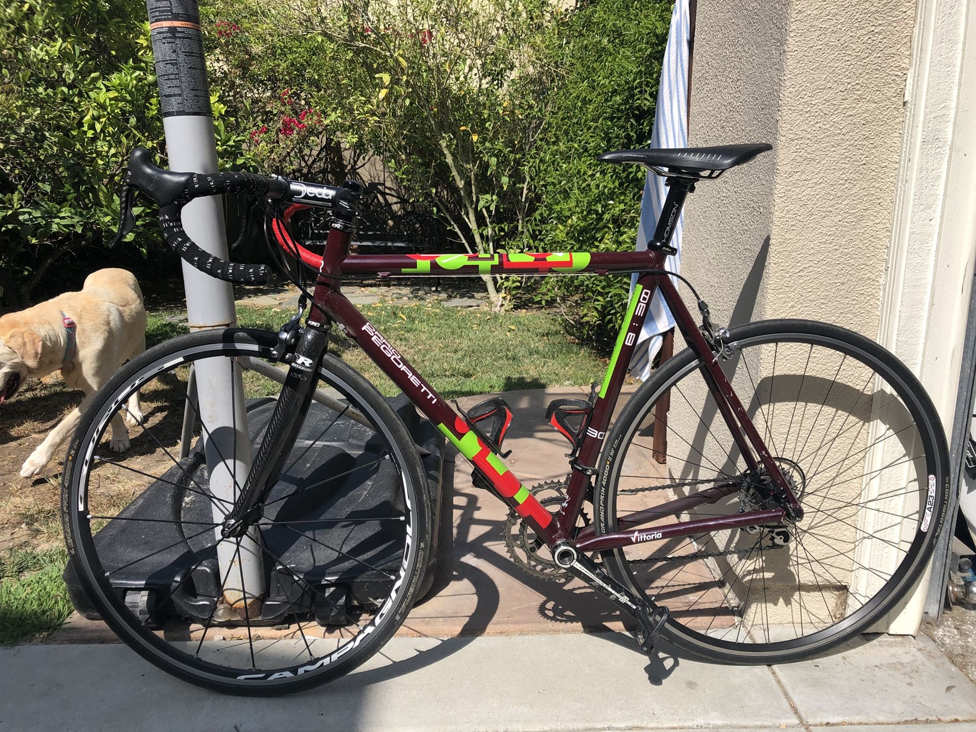 Pegoretti road bike