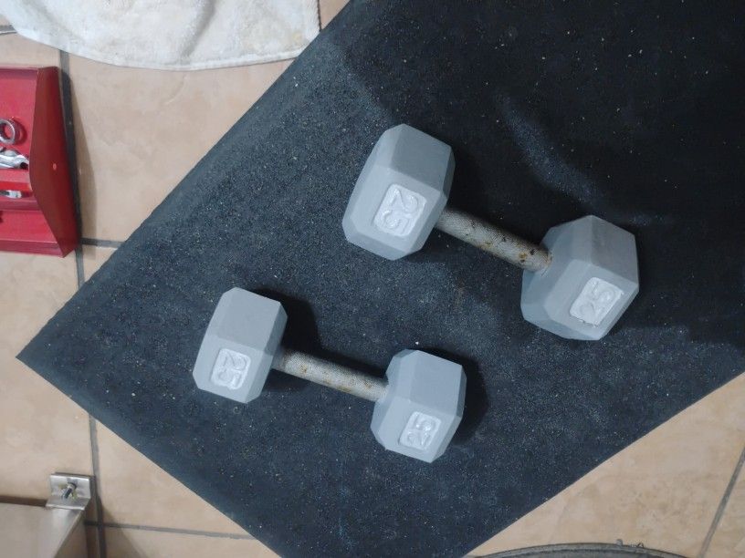 25 Lb Cast Iron Dumbbells $60