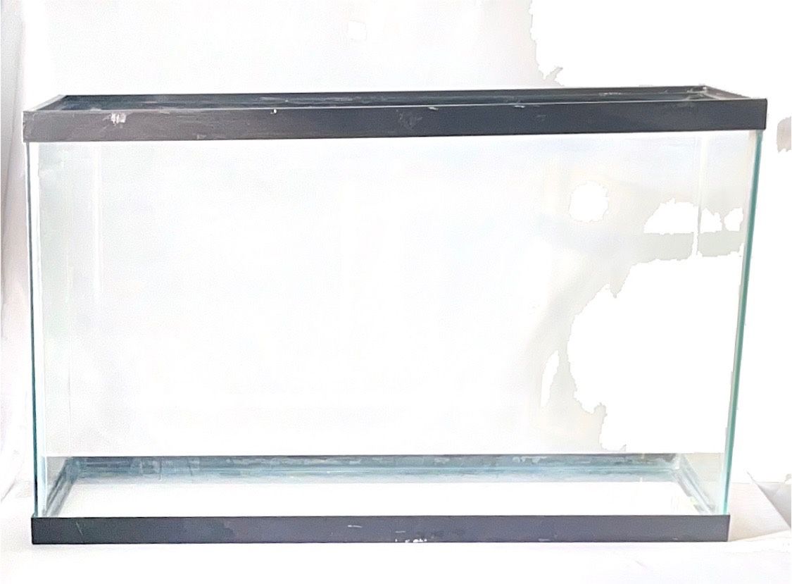 Fish Tank