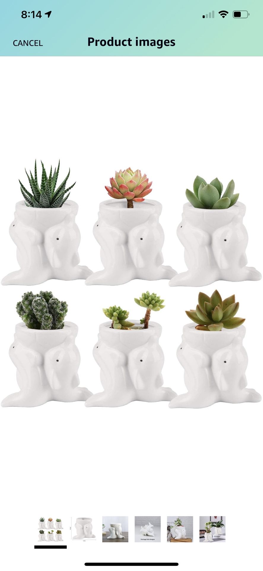 Succluent Pots ,Small Flower Pots Planter Pots with Drinage,Ceramic Cute Animal Mini Dolphin Flowers Pots Planter for Cactus(6 Pack)