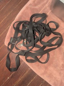 50 ft cat leash