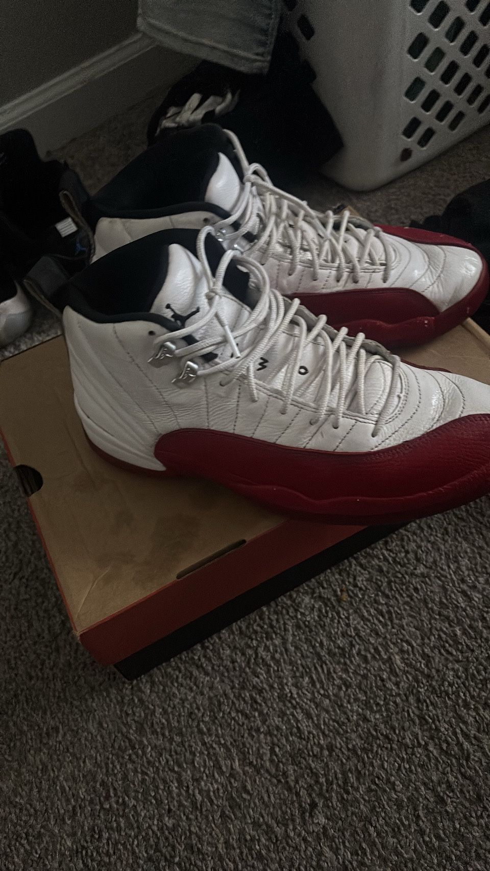 Jordan 12s Cherry 