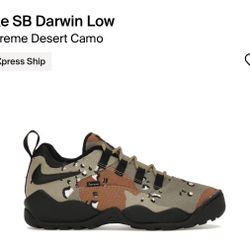 Supreme Nike SB Darwin Low Camo MANY SIZES