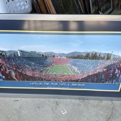 UCLA BRUINS / CURTIS REED PHOTOGRAPHY