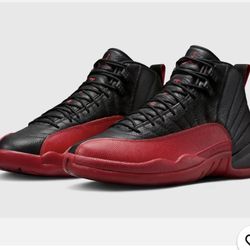 Jordan 12 