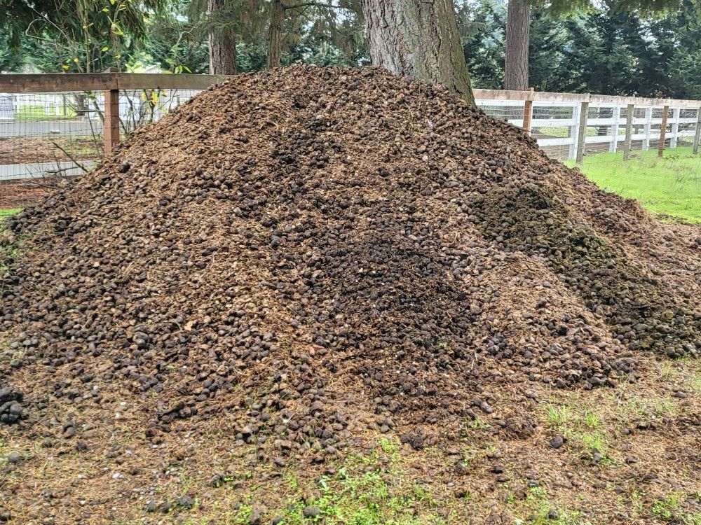 Horse Manure