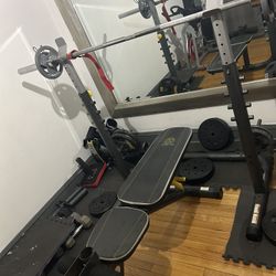 GOLD'S GYM 2 PCS. BENCH AND SQUAT RACK. INCLINE/ DECLINE /PREACHER CURLS AND POWER TOWER MULT.  PURPS.